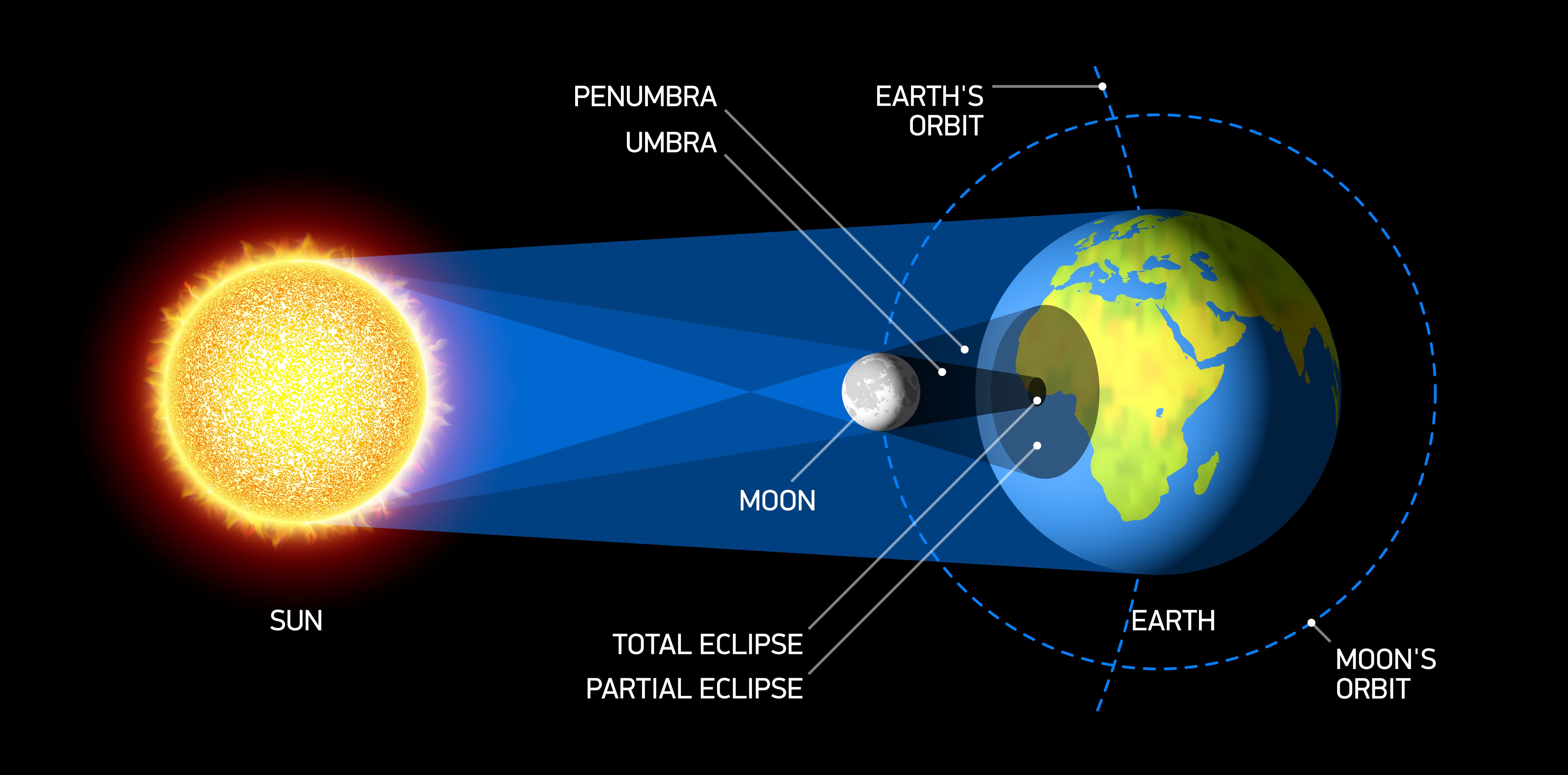 23 ноября Открытое занятие по астрономии "Движение Луны и Солнца. Фазы Луны. Затмения”, 14+